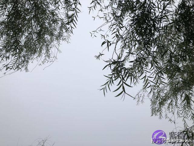 明日六月十一不一般，乃是“穷废无禄，不做三件事”，分别指啥？