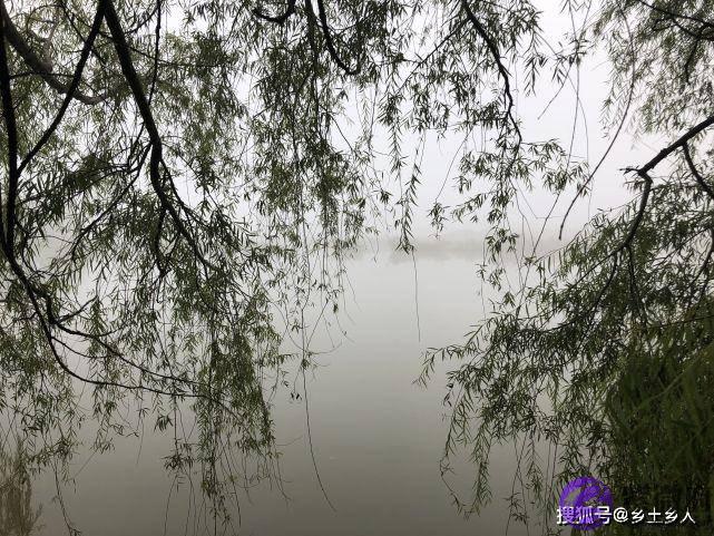 明日六月十一不一般，乃是“穷废无禄，不做三件事”，分别指啥？