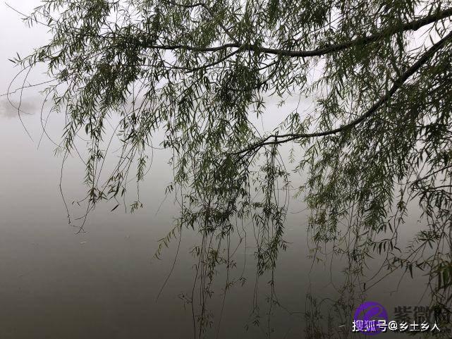 明日六月十一不一般，乃是“穷废无禄，不做三件事”，分别指啥？