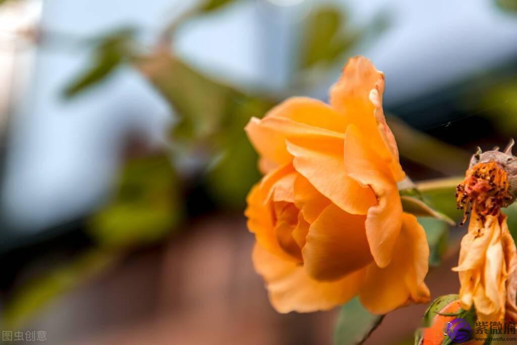 不要一吵架就考虑合不合适，其实我们真的很合适