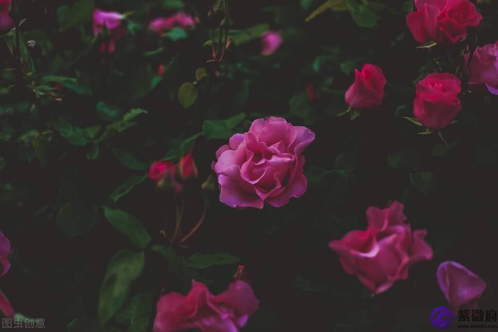 不要一吵架就考虑合不合适，其实我们真的很合适