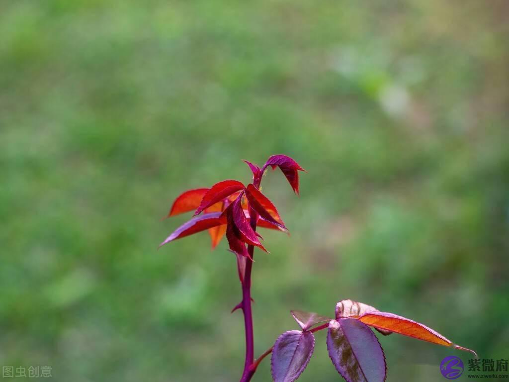 不要一吵架就考虑合不合适，其实我们真的很合适