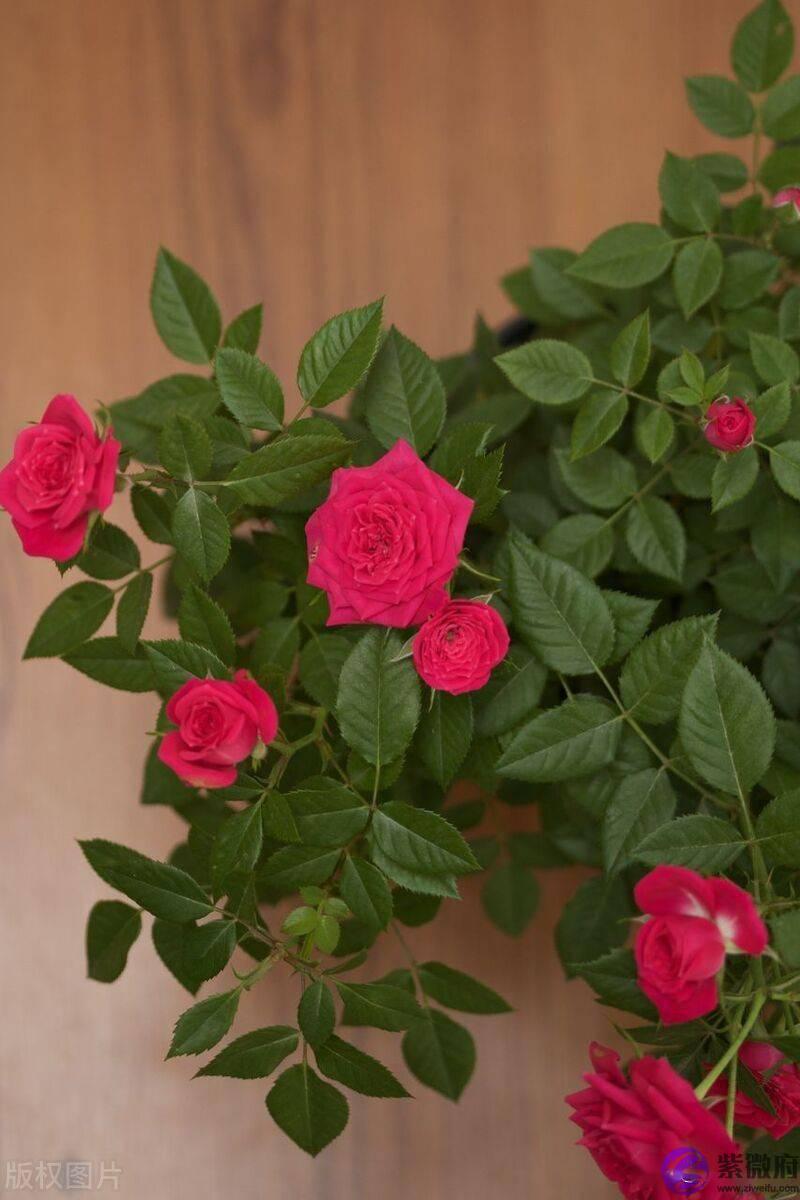 不要一吵架就考虑合不合适，其实我们真的很合适