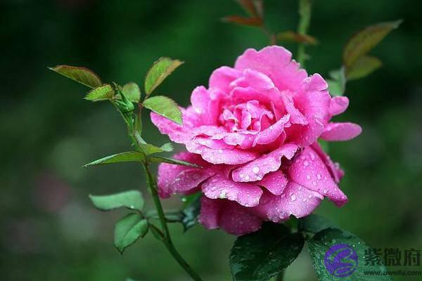 两个人合不合适，从一开始就注定了