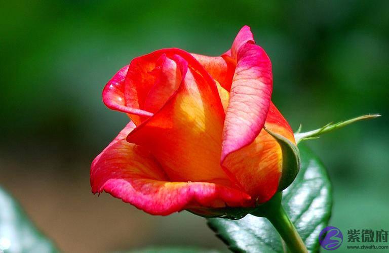 两个人合不合适，从一开始就注定了