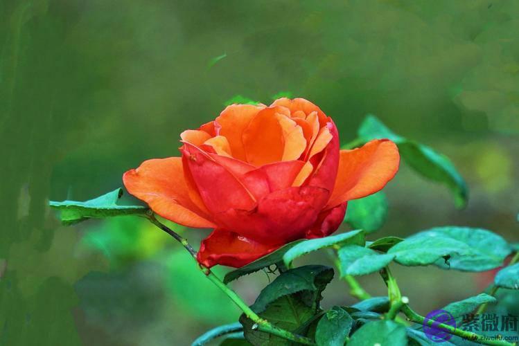 两个人合不合适，从一开始就注定了