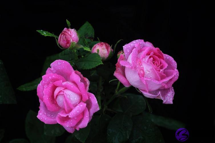 两个人合不合适，从一开始就注定了