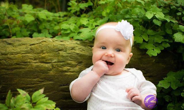 女孩缺木起名五行属木的女孩名字大全