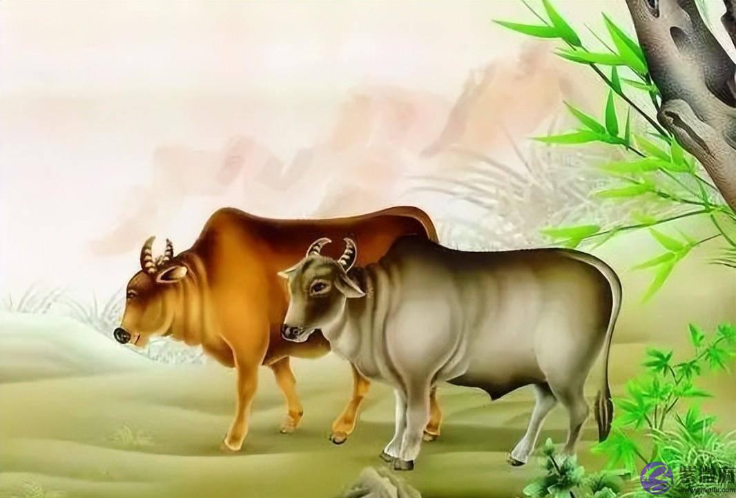 每个人都有自己的出生年月，和生肖属相，十二生肖是怎麽来的呢？