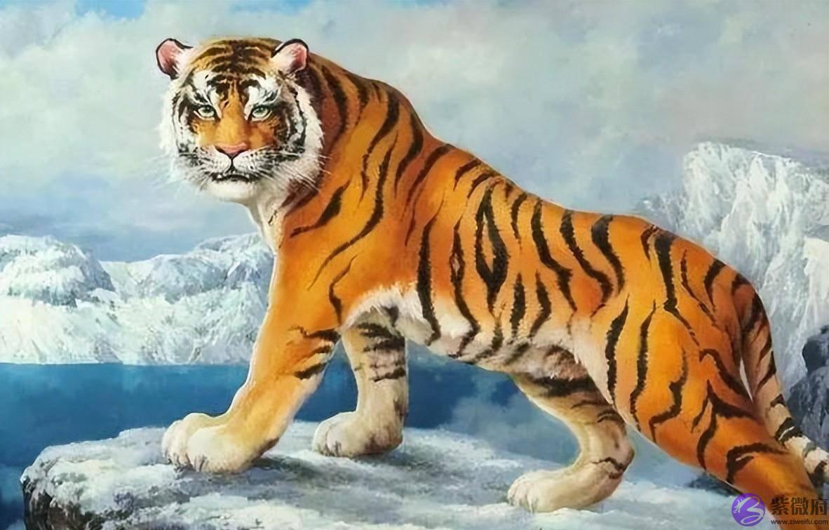 每个人都有自己的出生年月，和生肖属相，十二生肖是怎麽来的呢？