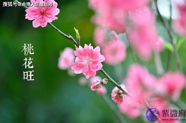 男人在外面有没有情人,看生辰生辰这个“地方”,很准的