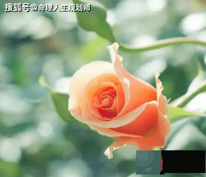 财运生辰看财运,豪气冲天能有钱,却容易离婚的命