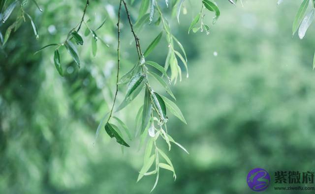 男人有没有财运，看三点就知道