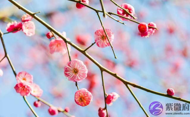 男人有没有财运，看三点就知道