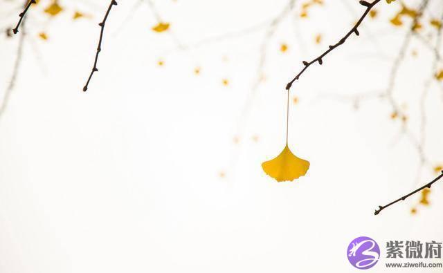 男人有没有财运，看三点就知道