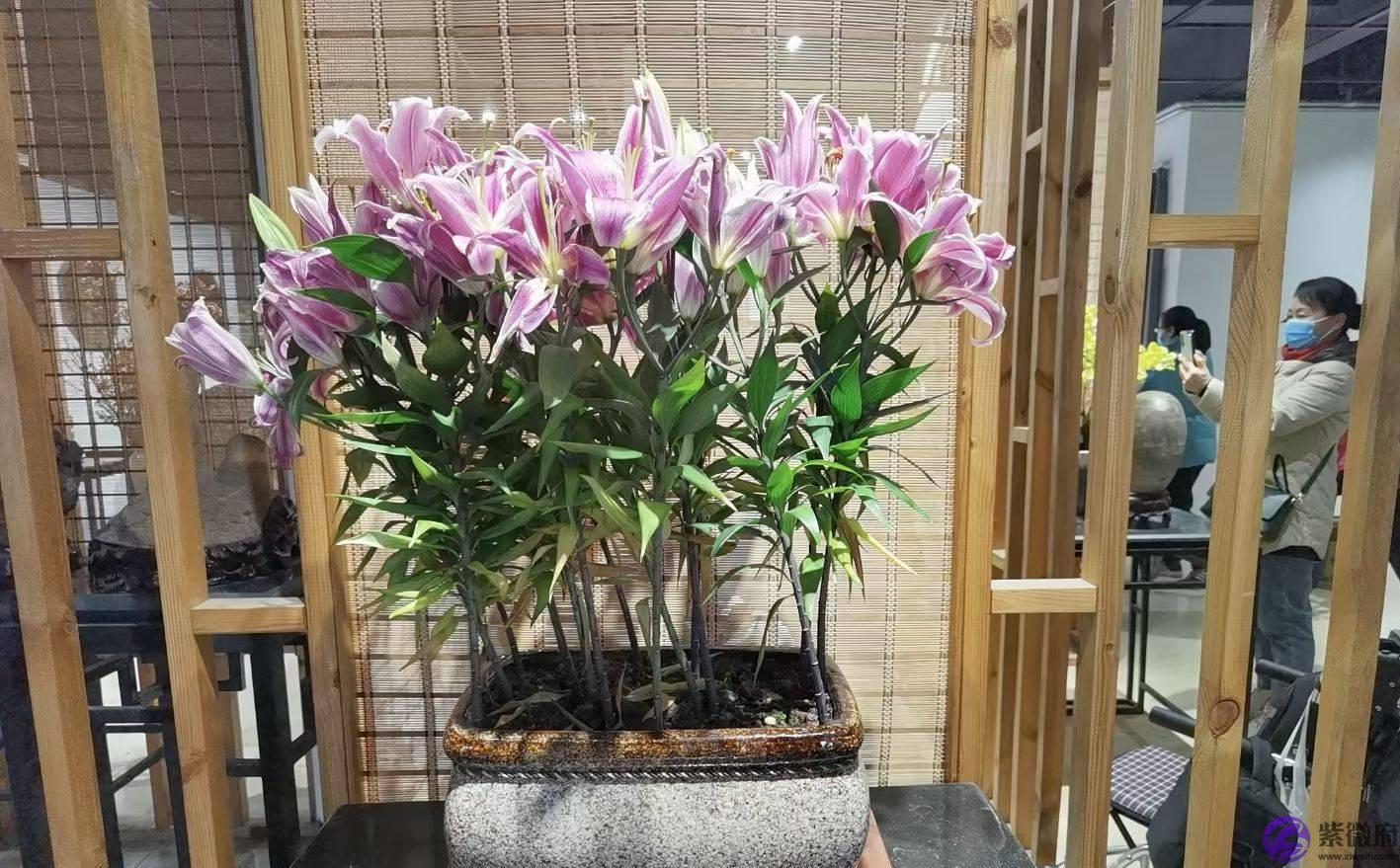 中天易数断六亲，愿与读者来讨论