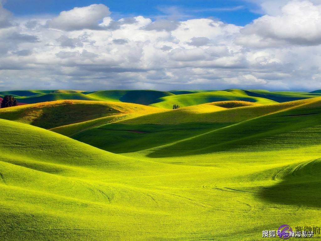 生辰:受情感欺骗的女命特征