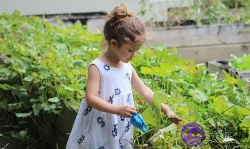 生辰生辰起名取名：郑姓属牛好听秀美、纯洁的女孩名字