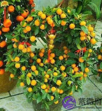 婚姻不是儿戏这一方面很重要你与另一半配不配的方法不是迷信