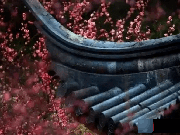 命运有一半在你手里，另一半在因果里！