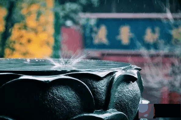 命运有一半在你手里，另一半在因果里！