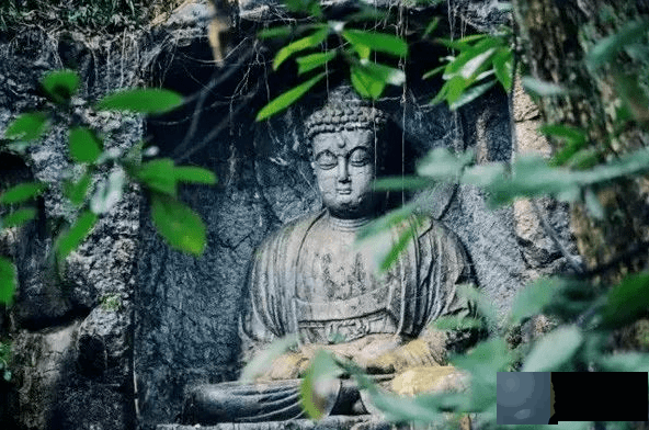 命运有一半在你手里，另一半在因果里！