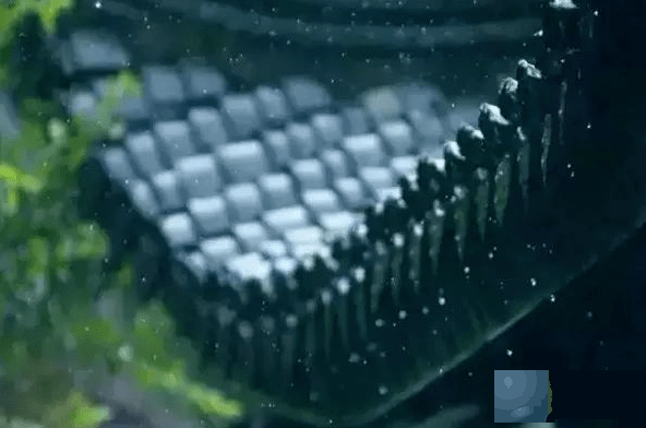 命运有一半在你手里，另一半在因果里！