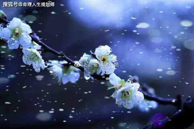 什麽样的组合是车祸、伤灾的标志?2022年哪些人出行需注意安全