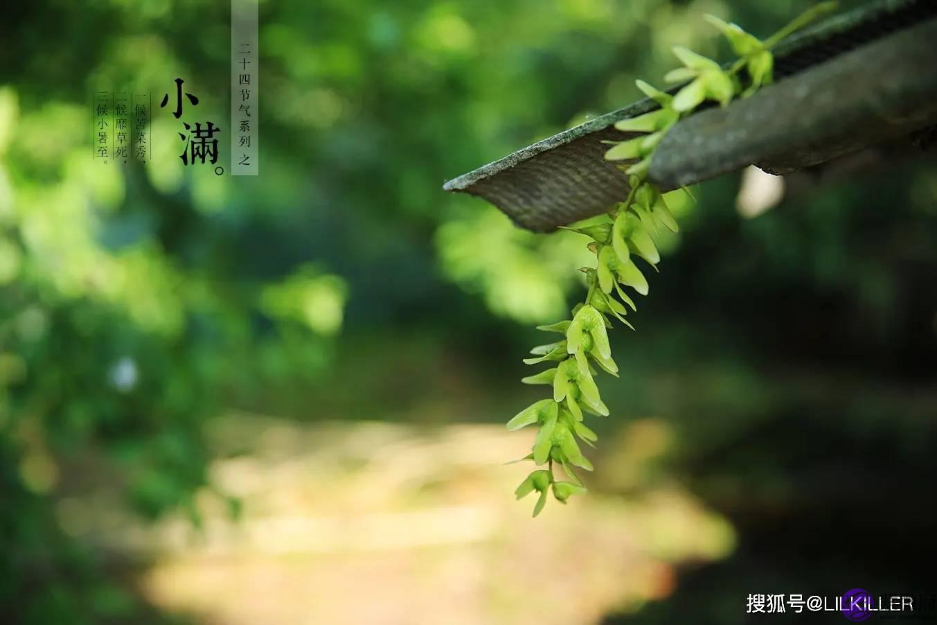 6月：72，84年生肖鼠方向感回归，事业提升，96年生肖鼠谨慎为宜！