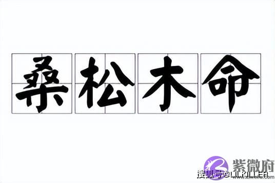 6月：72，84年生肖鼠方向感回归，事业提升，96年生肖鼠谨慎为宜！