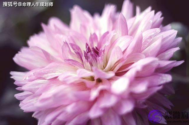 婚姻生辰看婚姻，五年的男友是正缘吗？能否一婚到头呢？