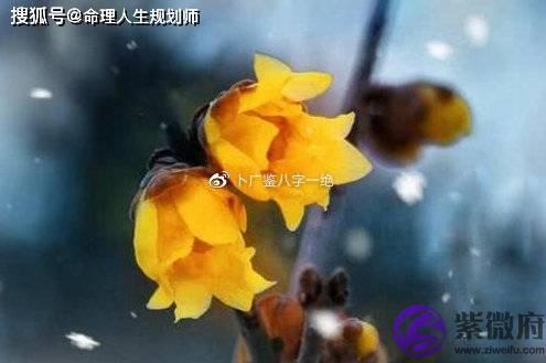 婚姻生辰看婚姻，为什麽你婚姻不好，如何拥有幸福婚姻？