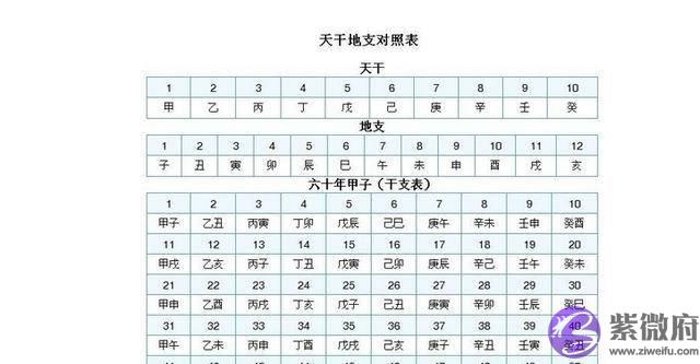 天干地支基础篇——意解“干支”