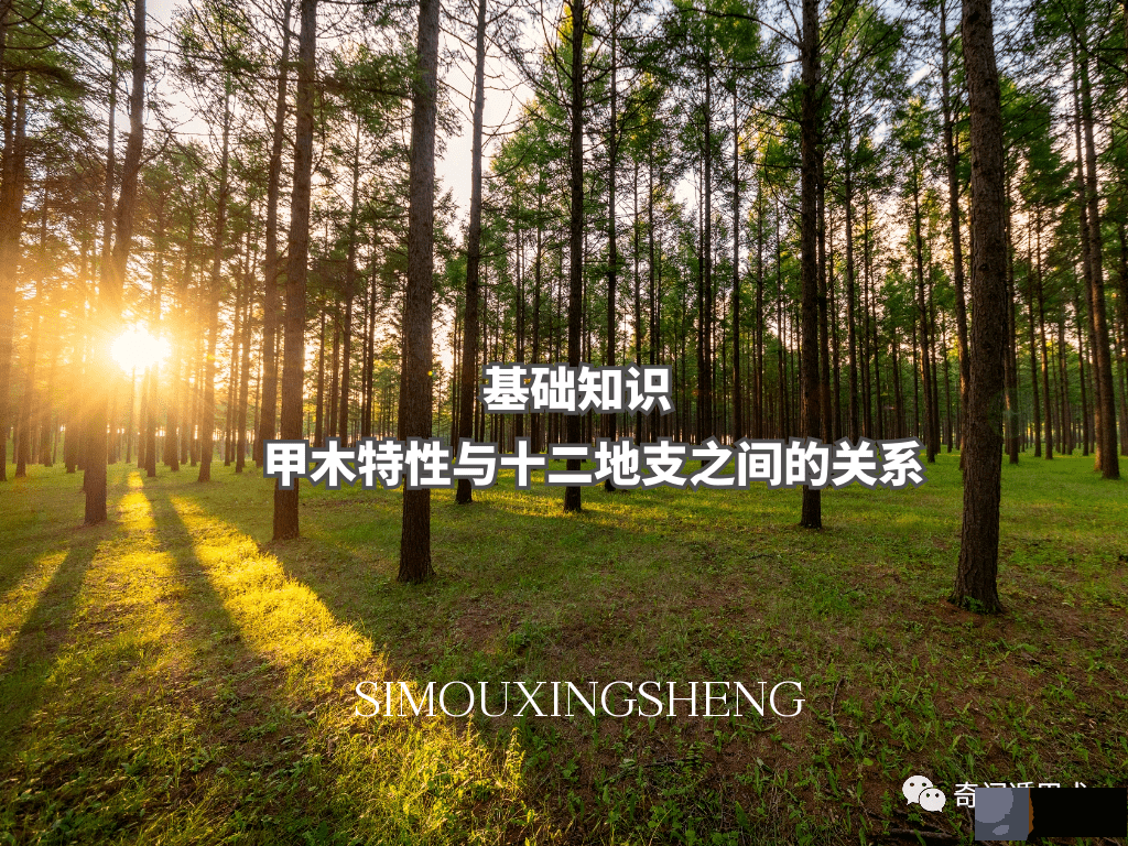 基础知识 | 甲木特性与十二地支之间的关系
