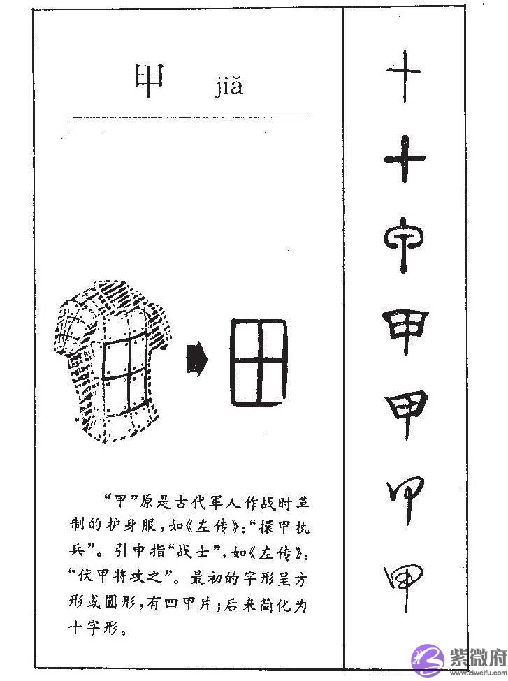 甲木的象义喜忌