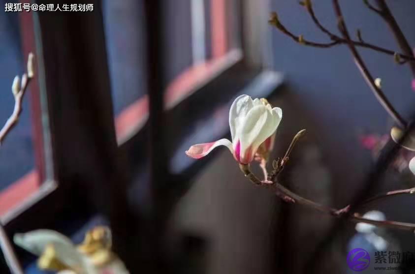 生辰八个字，日坐财库，就真的不缺钱吗？