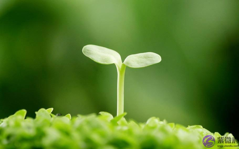 生辰生辰看婚姻,生辰生辰排出来便知会离婚的命