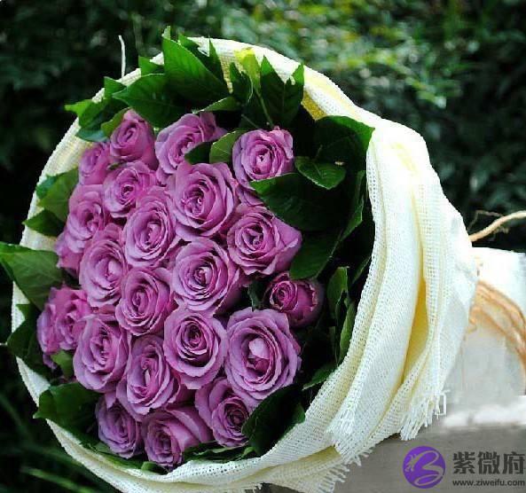 十二生肖排名，十二生肖中最好的属相排名