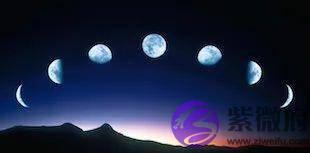 错过“十二生肖”，真是猫之遗憾！