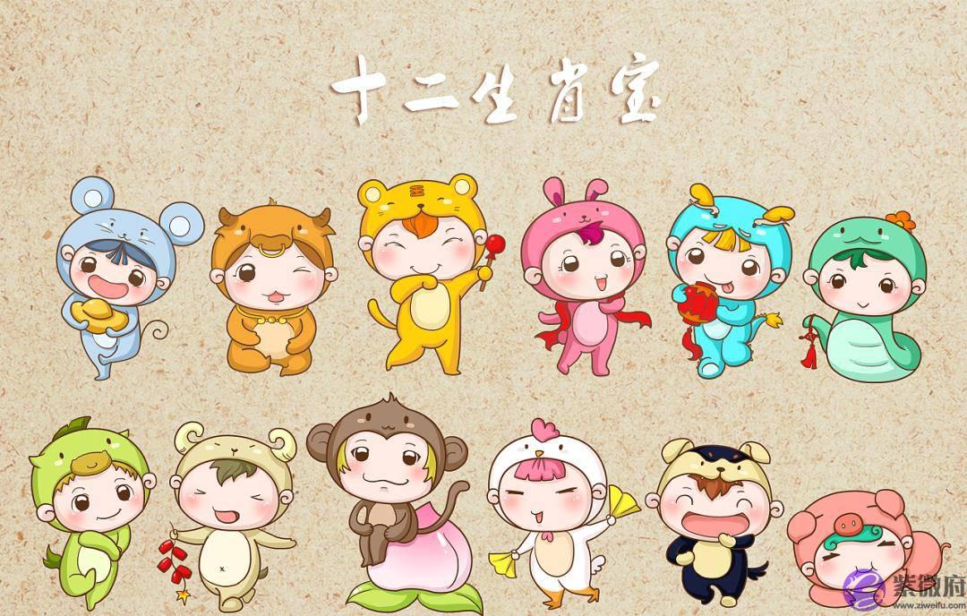 错过“十二生肖”，真是猫之遗憾！