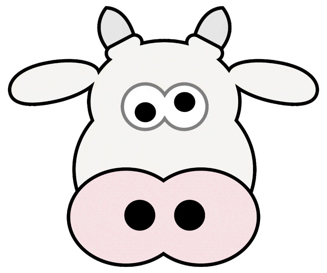 错过“十二生肖”，真是猫之遗憾！