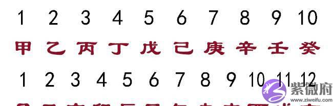 错过“十二生肖”，真是猫之遗憾！