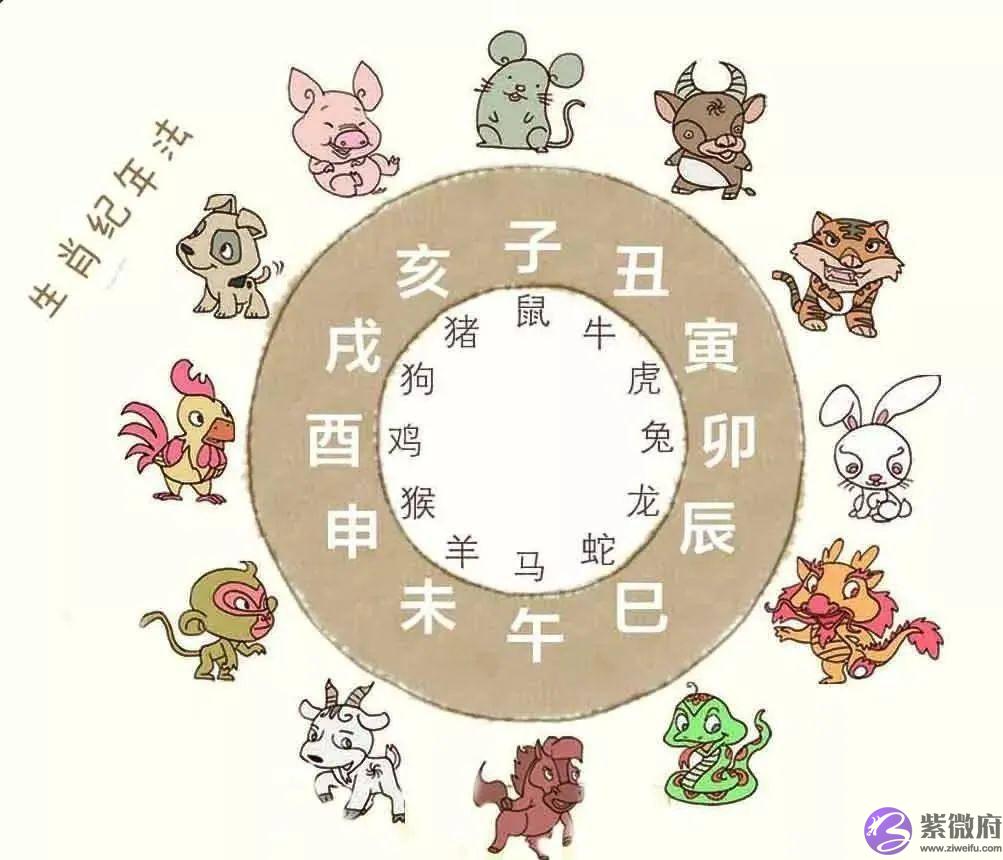 错过“十二生肖”，真是猫之遗憾！