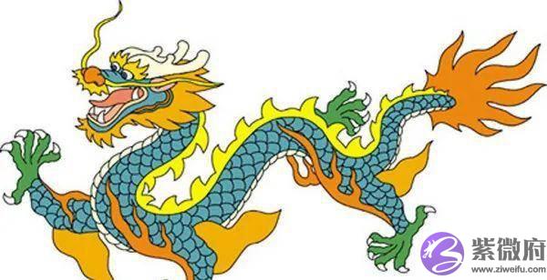 错过“十二生肖”，真是猫之遗憾！