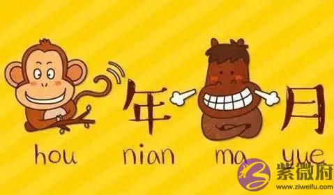 错过“十二生肖”，真是猫之遗憾！