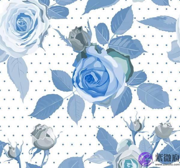 十二生肖卯兔的故事，十二生肖兔的故事传说