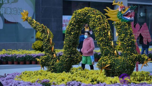 十二生肖中，哪些生肖不好惹？