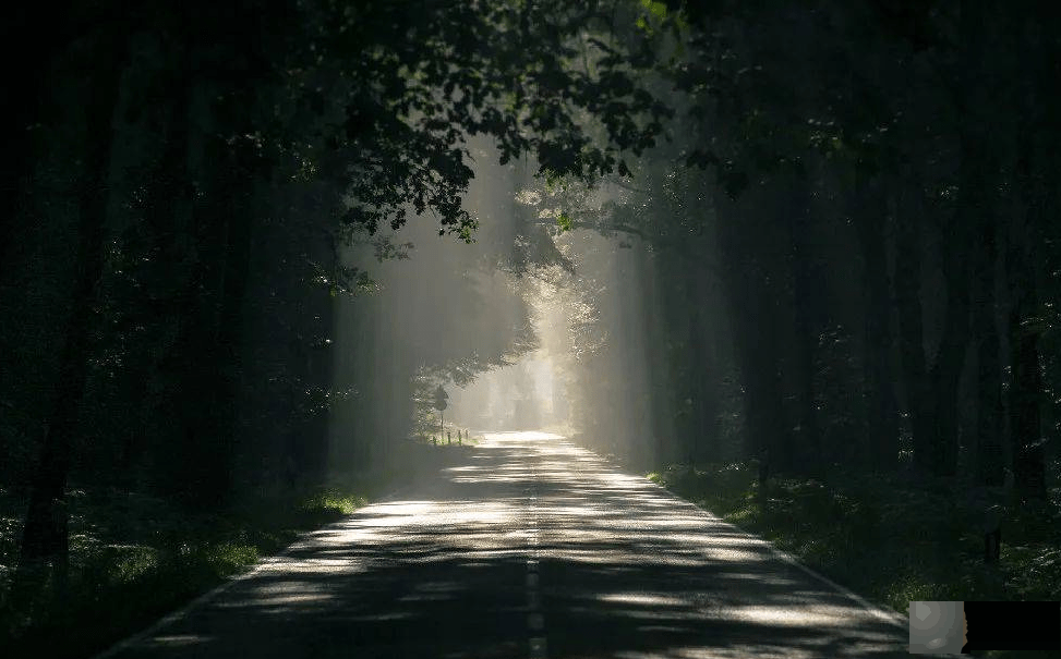 什麽是将星？有什麽特点？