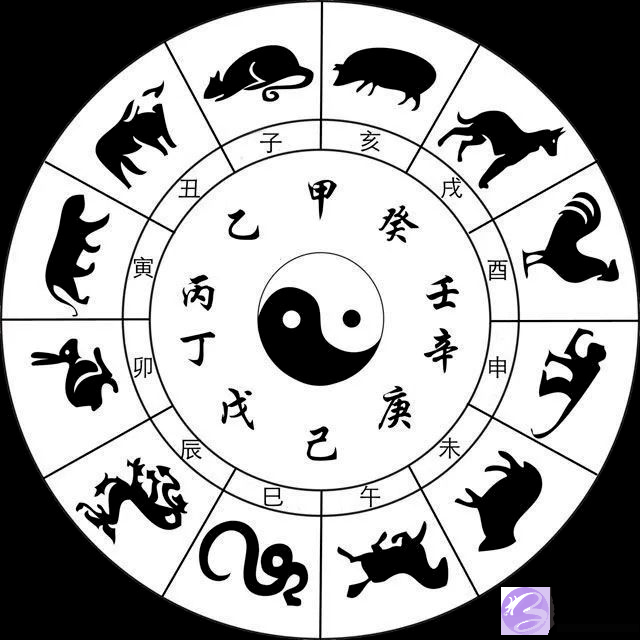 《周易》笔记6，天干地支怎麽来的