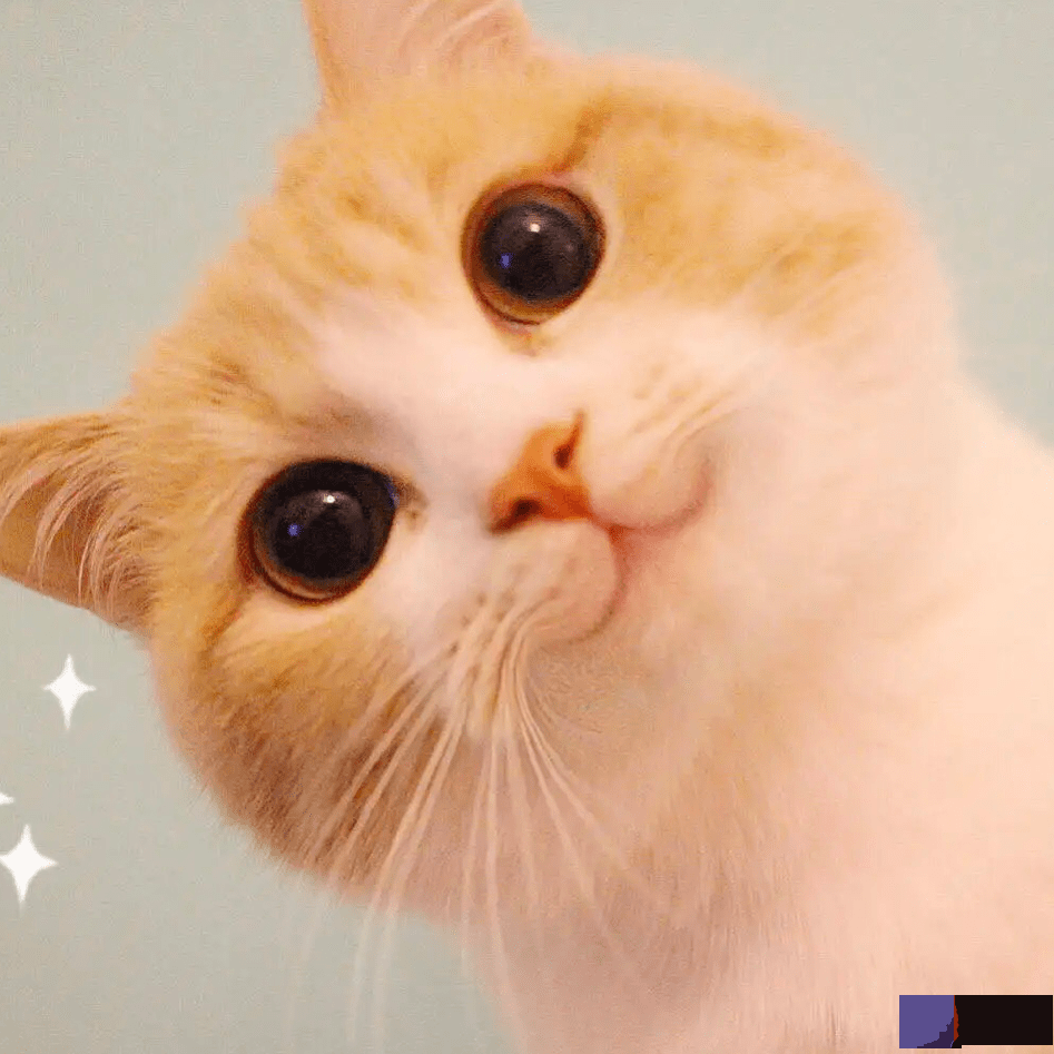 天干地支｜第七期“三阳开泰”宋江！